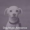 Download track Simplistic Solo Piano Jazz - Vibe For Cute Dogs