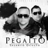 Download track Pegaito