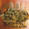 Download track It's 420 Twice A Day (Bonus Track)