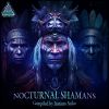 Download track Nocturnal Shamans