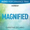 Download track Magnified [Spanish Original Key With Background Vocals]