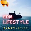 Download track Disco Life