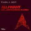 Download track All I Want