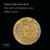 Download track Sonata In D Major, BWV 1028 III. Andante (Transcriptions For Viol Trio)