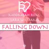 Download track Falling Down (Instrumental)