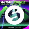 Download track Ibanez (Arena Mix)