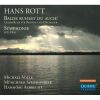 Download track 2. Rott-Schneider: Balde Ruhest Du Auch - 2. Wandrers Nachtlied