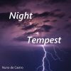 Download track Night Tempest