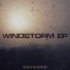 Download track Windstorm