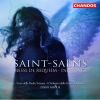 Download track 6. Messe De Requiem Op. 54 - Sanctus