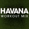 Download track Havana (Workout Mix)