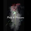 Download track Pain & Pleasure