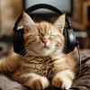 Download track Cat Nap Harmony