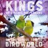 Download track On The School Trip To Birdworld