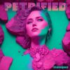 Download track Petrified