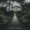 Download track Sin Destino