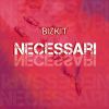 Download track Necessari