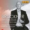 Download track String Quintet In F Major, WAB 112 (Revised 1884 Version) [Arr. G. Schaller For Large Orchestra]: I. Gemäßigt