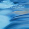 Download track Symphony No. 6 - II. Allegretto Moderato