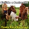 Download track Toada Seca No Sertão