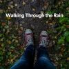 Download track Rain Walk