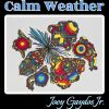 Download track Calm Weather