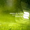 Download track Raindrops (Original Mix)