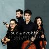 Download track Dvořák String Quartet No. 13, Op. 106 III Molto Vivace (96kHz)