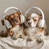 Download track Melodic Games For Pups
