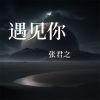 Download track 无法释怀