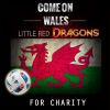 Download track Come On Wales (No Crowd Radio Mix)