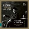 Download track Puccini: Crisantemi, SC 65 (Arr. For String Orchestra By Lucas Drew)