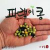 Download track Blueberry Beans (Melody Inst.)