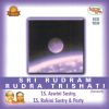 Download track Rudra Trishati