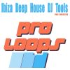 Download track Ibiza Deep House PERCU 128 (Tool 6)