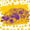 Download track Fun Backdrops For Sleepy Pups