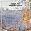 Download track 01. Eine Frühlingsmusik For Orchestra