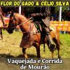 Download track Vaquejada E Corrida De Mourão