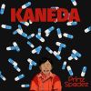 Download track Kaneda