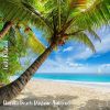 Download track Florida Beach Daytime Ambience, Pt. 15