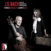 Download track Viola Da Gamba Sonata In G Minor, BWV 1029- I. Vivace