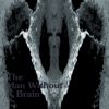 Download track The Man Without A Brain