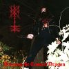 Download track Summoning The Great Cosmic Dragon