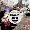 Download track Sweet Toy (Wittyboy Remix)