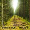 Download track Sweet Sun