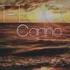 Download track Carino (Radio Edit)