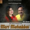 Download track Meri Mohabbat