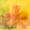 Download track Mysterious Ambience For Friendly Cats