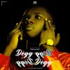 Download track Deug Bou Deugou