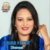 Download track Dhamaal By Saira Peter Damadam Mast Kalandar